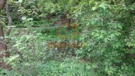 DSC01571