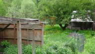 DSC01561
