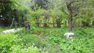 DSC01563