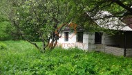DSC01565