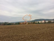 IMG_7501