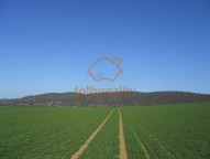 Prodej pozemku VB - foto 3
