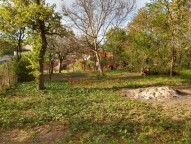 IMG_20200501_181717578_HDR