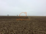 prodej-zemedelske-pudy-2183-m2-kyjov-img-8559-c21940