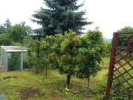 IMG_20200718_103831218