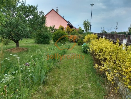 IMG_20200617_110009512_HDR
