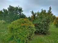 IMG_20200617_110103837_HDR