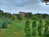 IMG_20200617_110152946_HDR