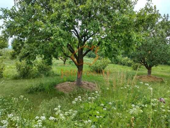 IMG_20200617_110014458_HDR