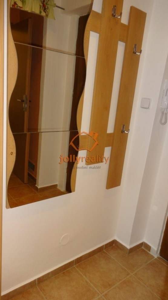 whn800x800wm1-fa48e-pronajem-bytu-1-kk-28-m2-brno-komin-dsc02076-68b3b8