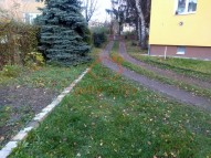 IMG_20201121_140829805 (2)