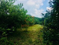 prodej-pozemky-zahrady-0m2-brno-ivanovice-img-2602-76281c