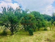 prodej-pozemky-zahrady-0m2-brno-ivanovice-img-2618-416483