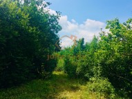 prodej-pozemky-zahrady-0m2-brno-ivanovice-img-2570-bda007