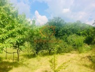 prodej-pozemky-zahrady-0m2-brno-ivanovice-img-2549-e84219