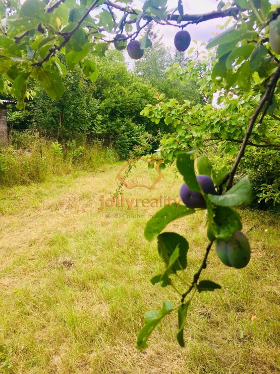 prodej-pozemky-zahrady-0m2-brno-ivanovice-img-2615-f721d0