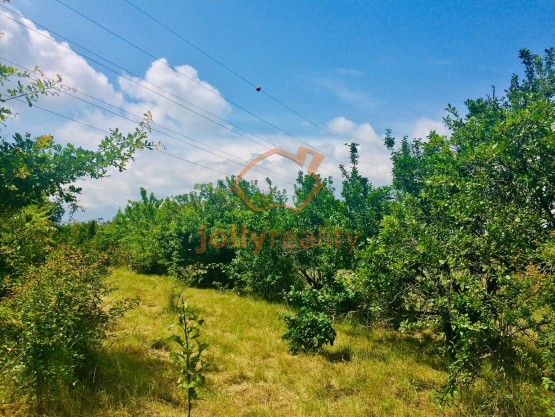 prodej-pozemky-zahrady-0m2-brno-ivanovice-img-2555-7bf41c