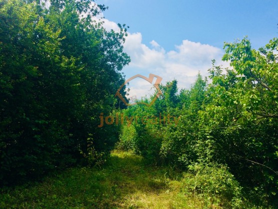 prodej-pozemky-zahrady-0m2-brno-ivanovice-img-2570-bda007