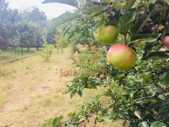 prodej-pozemky-zahrady-0m2-brno-ivanovice-img-2623-352b79