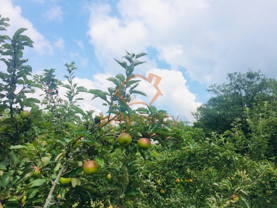 prodej-pozemky-zahrady-0m2-brno-ivanovice-img-2625-659d05