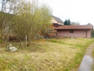 IMG_20210502_160919541 (2)