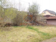 IMG_20210502_160938152 (2)