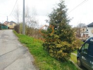 IMG_20210502_160758465 (2)