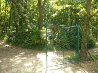 IMG_20210606_145219482 (2)