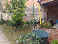 IMG_20210720_161440256 (2)