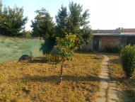 IMG_20210722_184748600 (2)