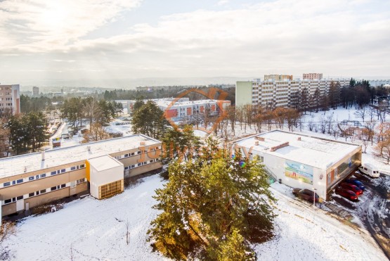 Lesna6