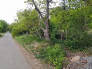 IMG_20220516_160940