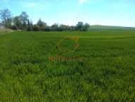 IMG_20210509_114601044 (2)