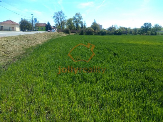 IMG_20210509_114603787 (2)