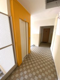 Obrázek k zakázce č.: 619083