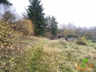 Obrázek k zakázce č.: 620313