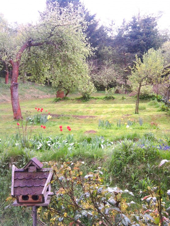 Obrázek k zakázce č.: 620313