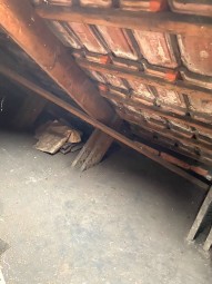 Obrázek k zakázce č.: 620313