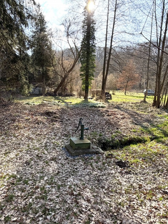 Obrázek k zakázce č.: 729081