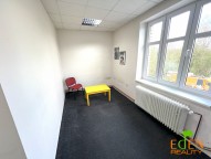 Detail: Pronájem nebytových prostor 55 m2