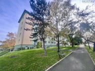 Detail: Pronájem bytu 2+1, 55 m2