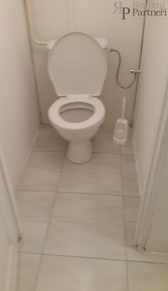 w.jpg