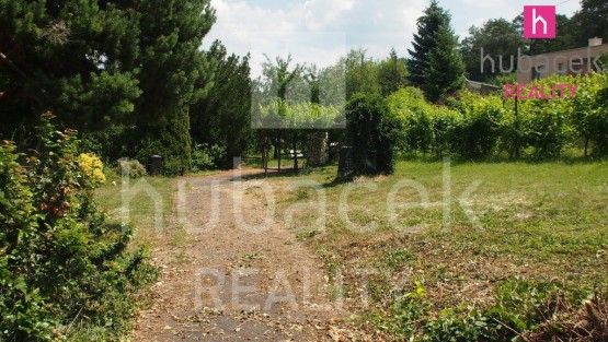 P6059456