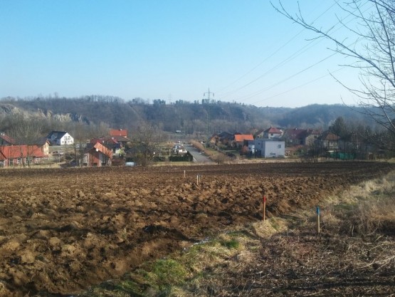 Obrázek k zakázce č.: 540353