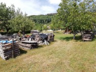 Obrázek k zakázce č.: 591133