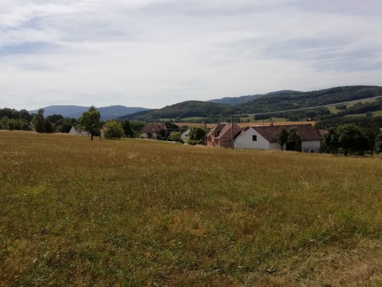 Obrázek k zakázce č.: 591133