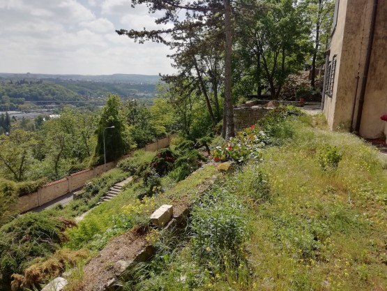 Obrázek k zakázce č.: 611653