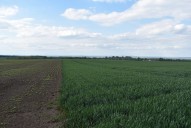 Obrázek k zakázce č.: 632881