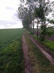 Obrázek k zakázce č.: 632881