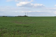 Obrázek k zakázce č.: 632881